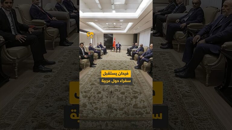 فيدان يستقبل سفراء دول عربية